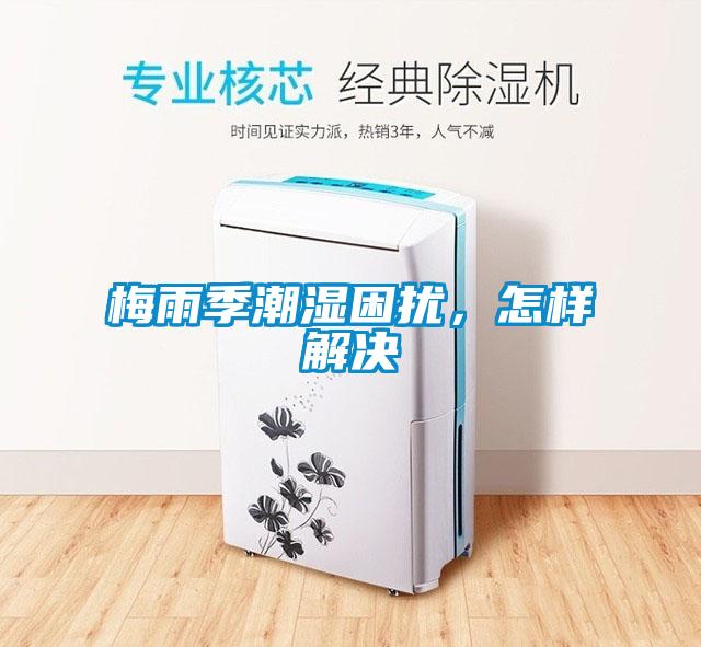 梅雨季潮濕困擾，怎樣解決