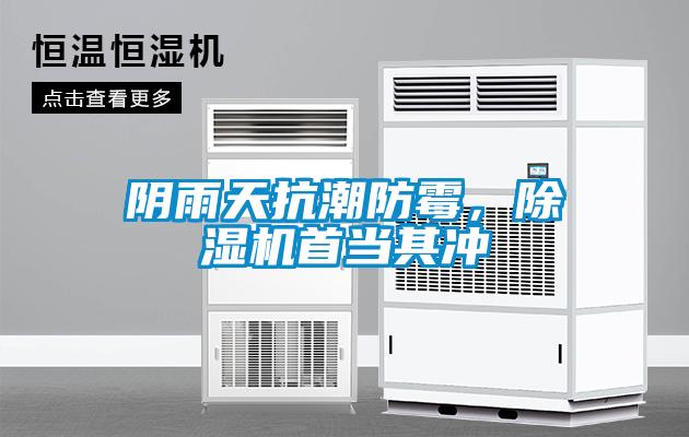 陰雨天抗潮防霉，除濕機首當其沖