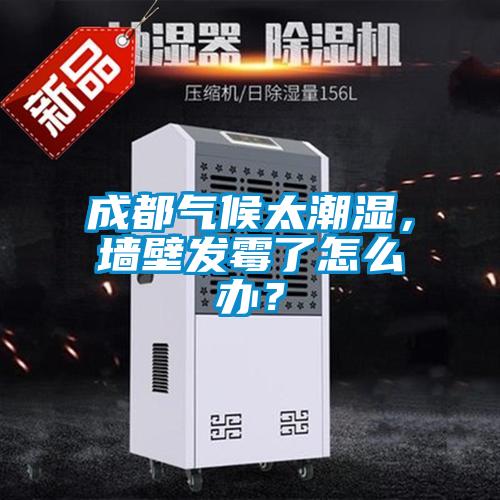 成都氣候太潮濕，墻壁發(fā)霉了怎么辦？