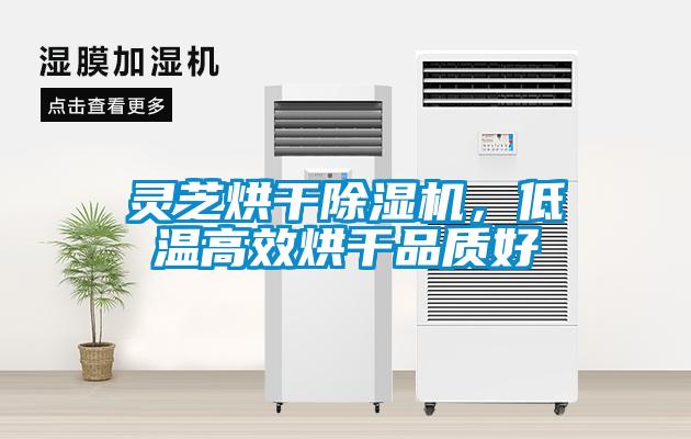 靈芝烘干除濕機，低溫高效烘干品質(zhì)好