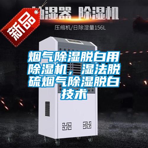 煙氣除濕脫白用除濕機，濕法脫硫煙氣除濕脫白技術