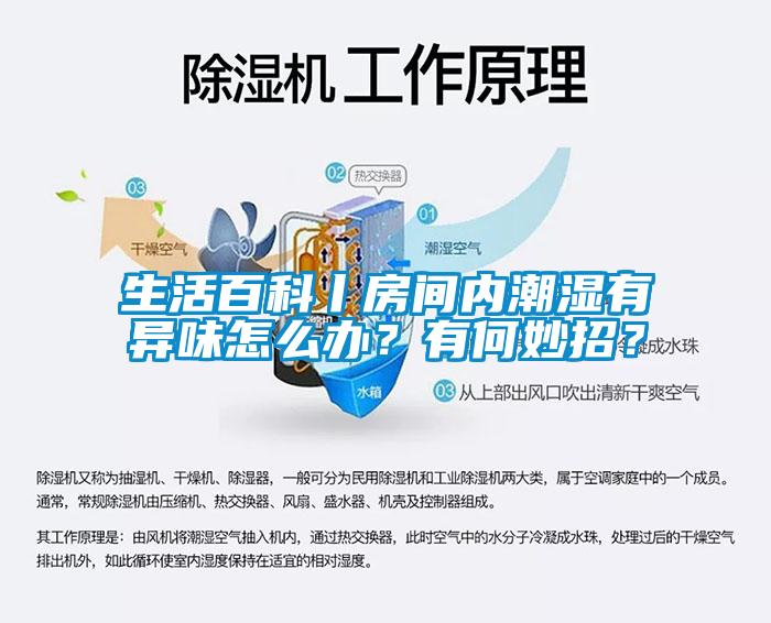 生活百科丨房間內(nèi)潮濕有異味怎么辦？有何妙招？