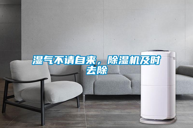 濕氣不請自來，除濕機(jī)及時去除