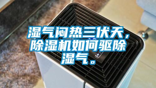 濕氣悶熱三伏天，除濕機(jī)如何驅(qū)除濕氣。