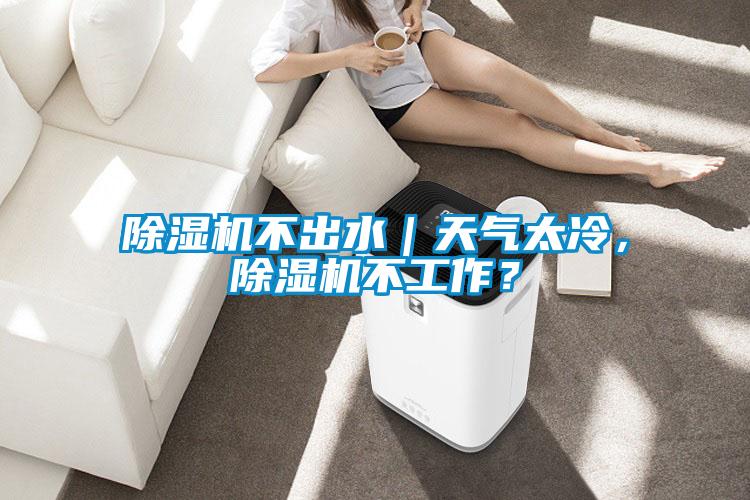 除濕機(jī)不出水｜天氣太冷，除濕機(jī)不工作？
