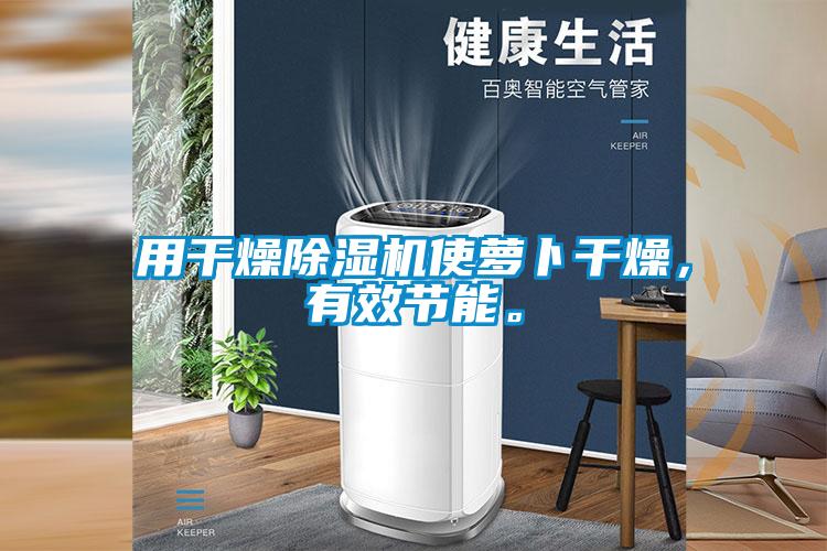 用干燥除濕機(jī)使蘿卜干燥，有效節(jié)能。