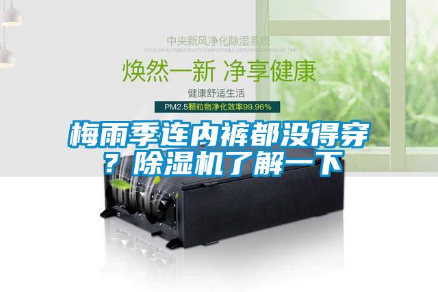 梅雨季連內(nèi)褲都沒得穿？除濕機了解一下