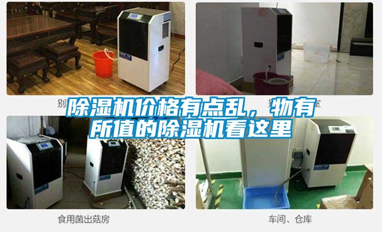 除濕機價格有點亂，物有所值的除濕機看這里