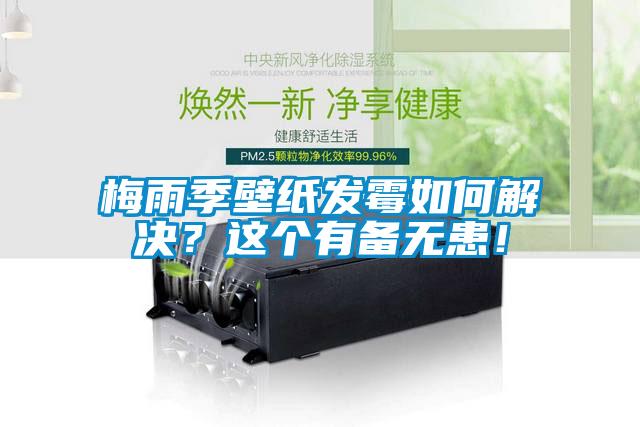 梅雨季壁紙發(fā)霉如何解決？這個有備無患！