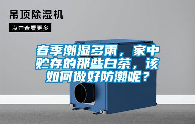 春季潮濕多雨，家中貯存的那些白茶，該如何做好防潮呢？