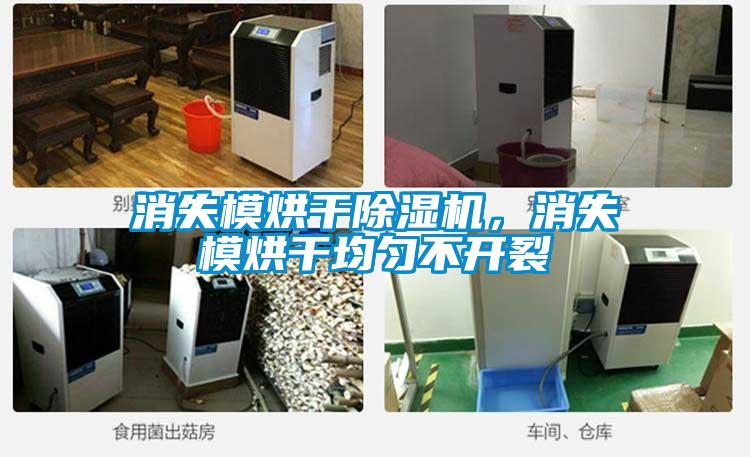 消失模烘干除濕機(jī)，消失模烘干均勻不開裂