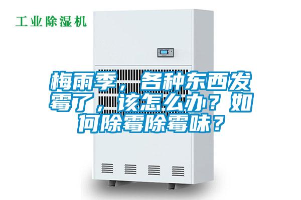 梅雨季，各種東西發(fā)霉了，該怎么辦？如何除霉除霉味？