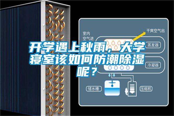 開學遇上秋雨，大學寢室該如何防潮除濕呢？