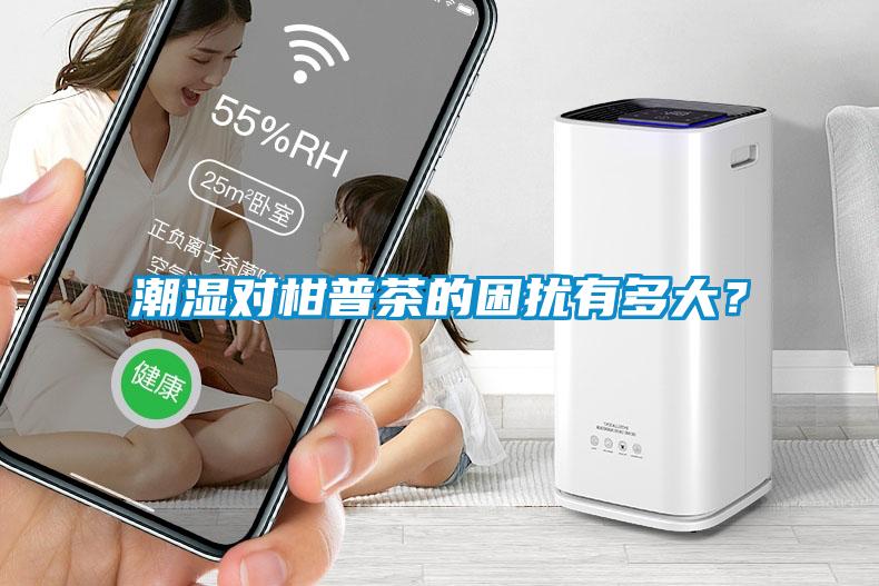 潮濕對(duì)柑普茶的困擾有多大？