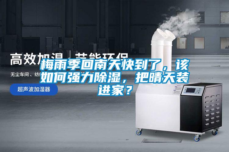 梅雨季回南天快到了，該如何強力除濕，把晴天裝進家？
