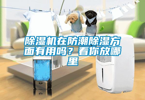 除濕機在防潮除濕方面有用嗎？看你放哪里