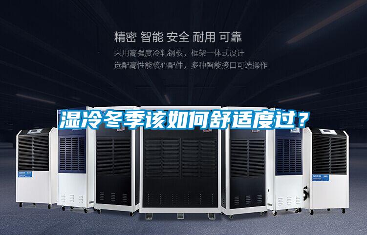濕冷冬季該如何舒適度過？