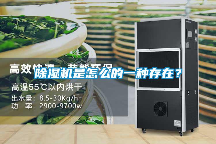 除濕機(jī)是怎么的一種存在？