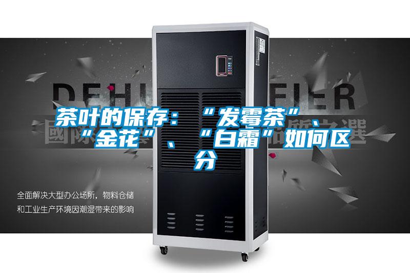 茶葉的保存：“發(fā)霉茶”、“金花”、“白霜”如何區(qū)分