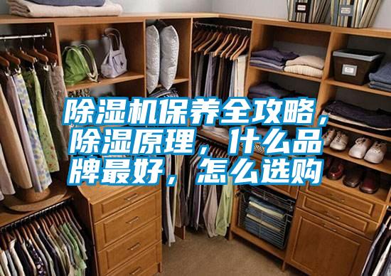 除濕機保養(yǎng)全攻略，除濕原理，什么品牌最好，怎么選購