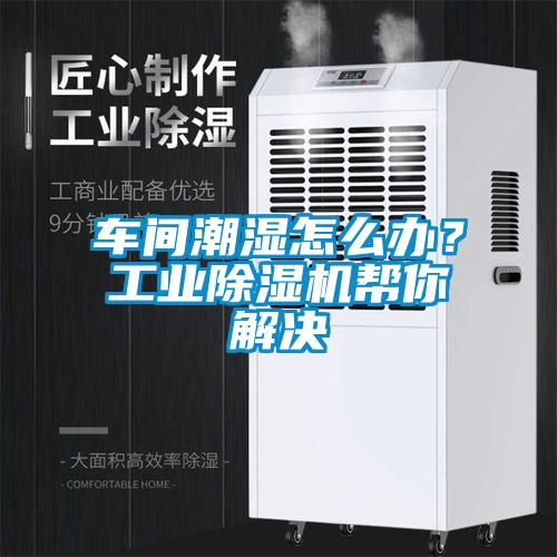 車間潮濕怎么辦？工業(yè)除濕機幫你解決