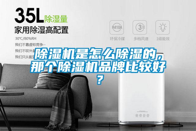 除濕機(jī)是怎么除濕的，那個(gè)除濕機(jī)品牌比較好？