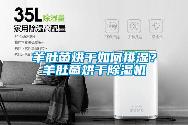羊肚菌烘干如何排濕？羊肚菌烘干除濕機(jī)