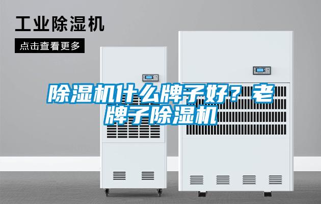 除濕機什么牌子好？老牌子除濕機