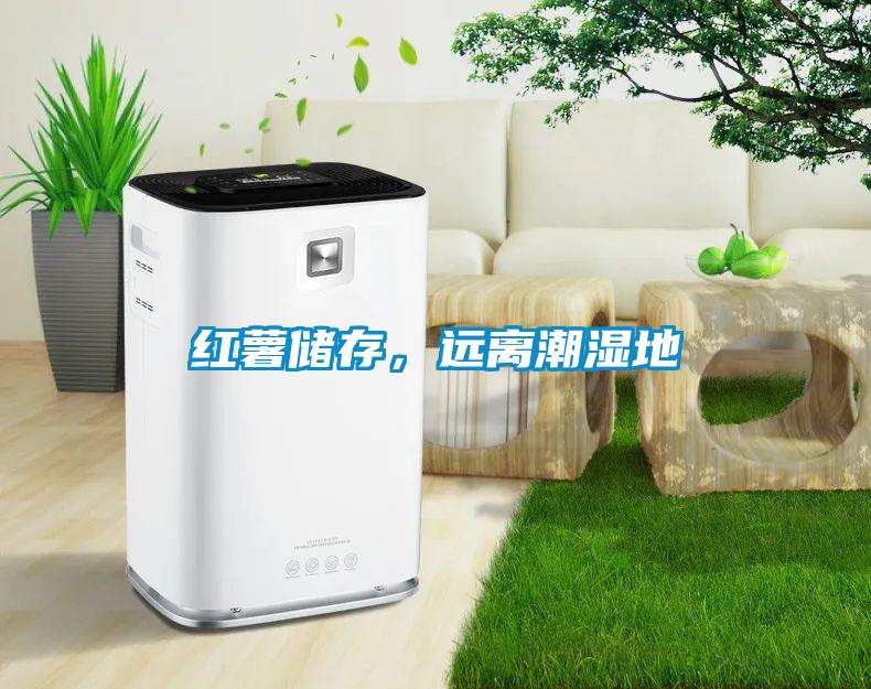 紅薯儲存，遠離潮濕地