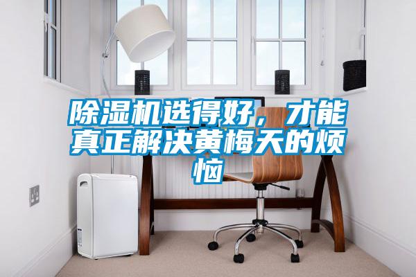 除濕機(jī)選得好，才能真正解決黃梅天的煩惱