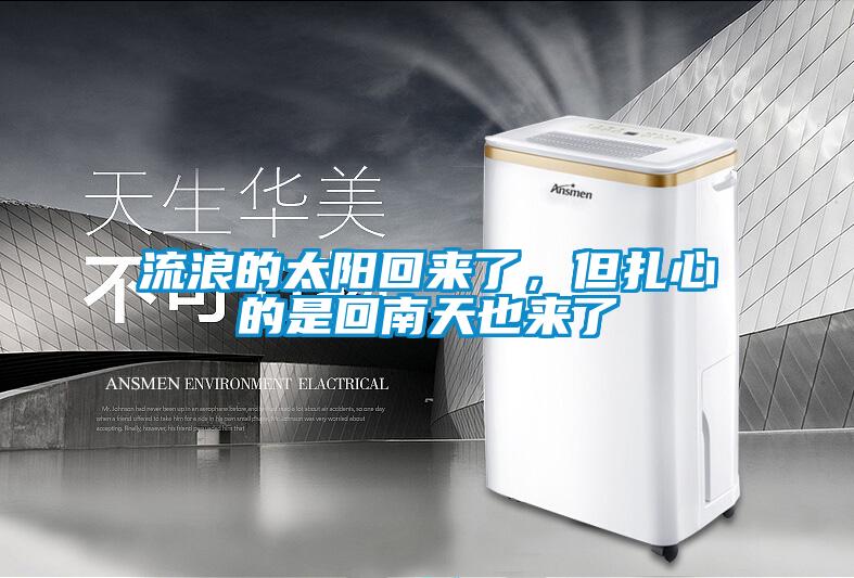 流浪的太陽回來了，但扎心的是回南天也來了