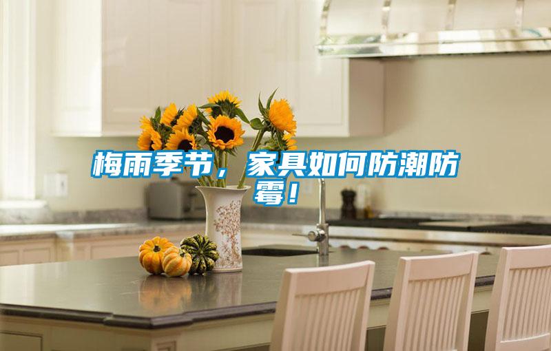 梅雨季節(jié)，家具如何防潮防霉！