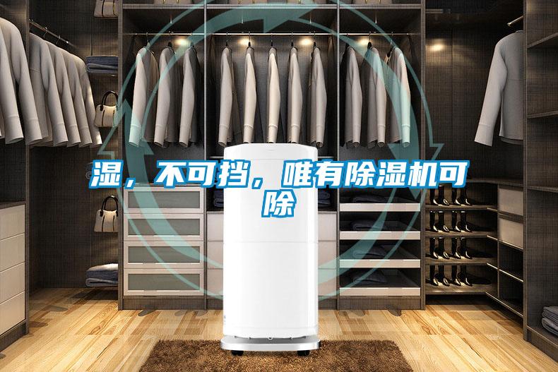 濕，不可擋，唯有除濕機可除