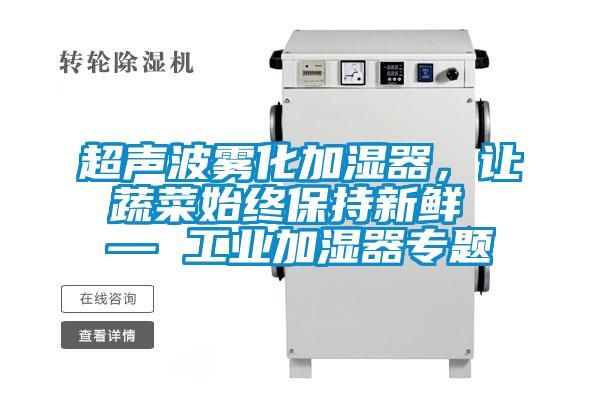 超聲波霧化加濕器，讓蔬菜始終保持新鮮 — 工業(yè)加濕器專題