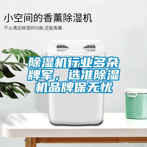 除濕機行業(yè)多雜牌軍，選準除濕機品牌保無憂