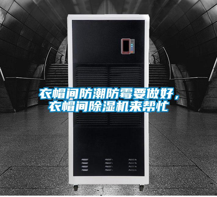 衣帽間防潮防霉要做好，衣帽間除濕機(jī)來幫忙