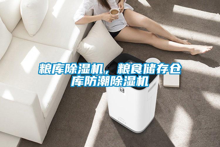 糧庫除濕機(jī)，糧食儲存?zhèn)}庫防潮除濕機(jī)