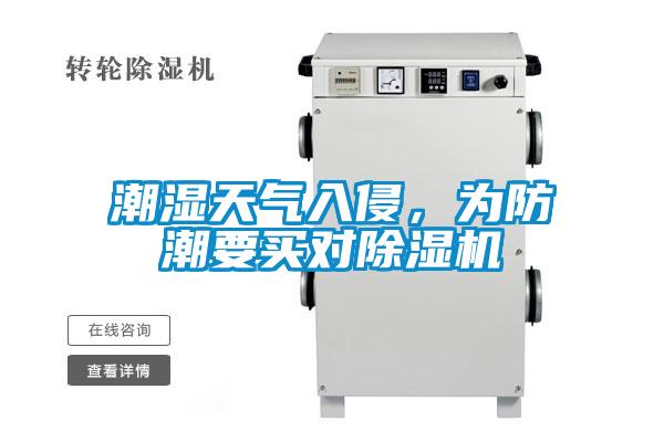 潮濕天氣入侵，為防潮要買對除濕機