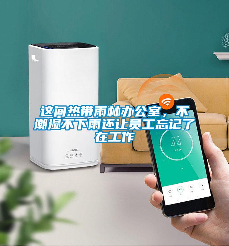 這間熱帶雨林辦公室，不潮濕不下雨還讓員工忘記了在工作
