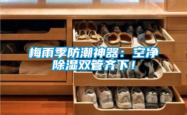 梅雨季防潮神器：空凈除濕雙管齊下！