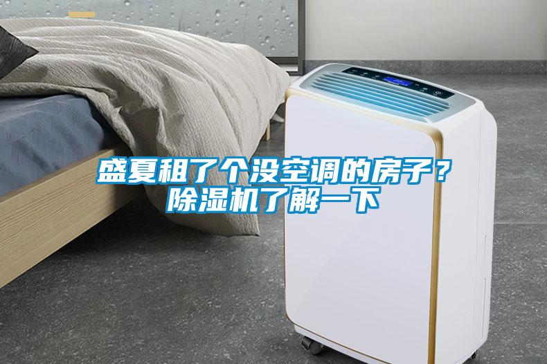 盛夏租了個沒空調(diào)的房子？除濕機(jī)了解一下