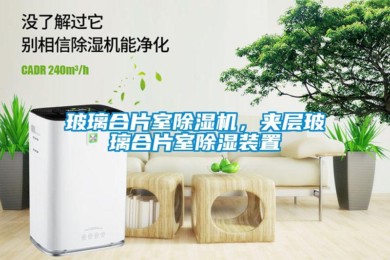玻璃合片室除濕機，夾層玻璃合片室除濕裝置