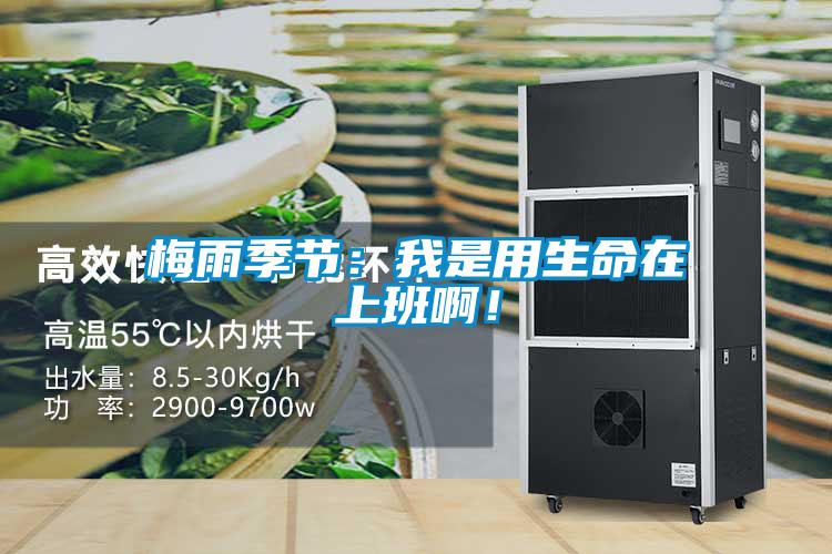梅雨季節(jié)：我是用生命在上班??！