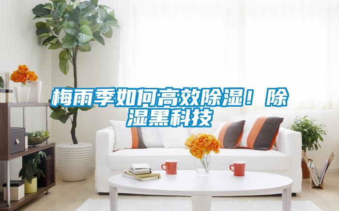 梅雨季如何高效除濕！除濕黑科技