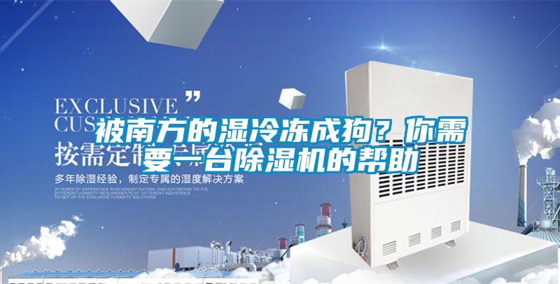 被南方的濕冷凍成狗？你需要一臺除濕機的幫助