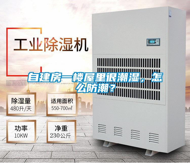 自建房一樓屋里很潮濕，怎么防潮？