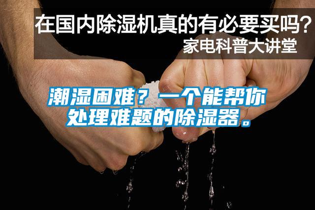 潮濕困難？一個(gè)能幫你處理難題的除濕器。