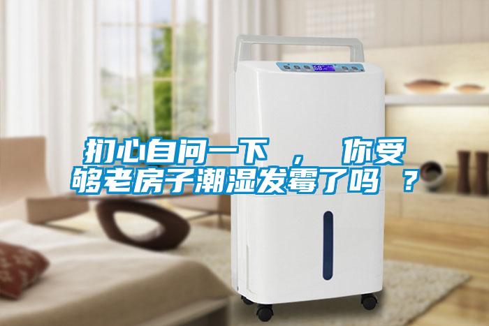 捫心自問一下 ， 你受夠老房子潮濕發(fā)霉了嗎 ？
