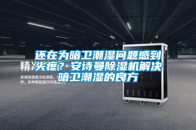 還在為暗衛(wèi)潮濕問題感到頭疼？安詩曼除濕機解決暗衛(wèi)潮濕的良方