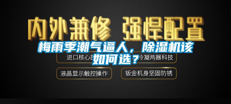梅雨季潮氣逼人，除濕機(jī)該如何選？